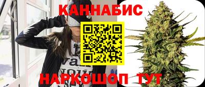mdpv Гатчина