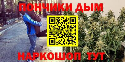 mdpv Гатчина