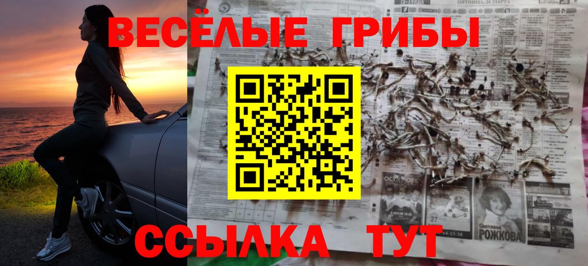 Галлюциногенные грибы прущие грибы Истра