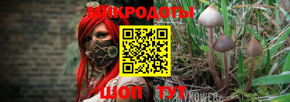 Галлюциногенные грибы мухоморы  Вход с VPN  Истра 